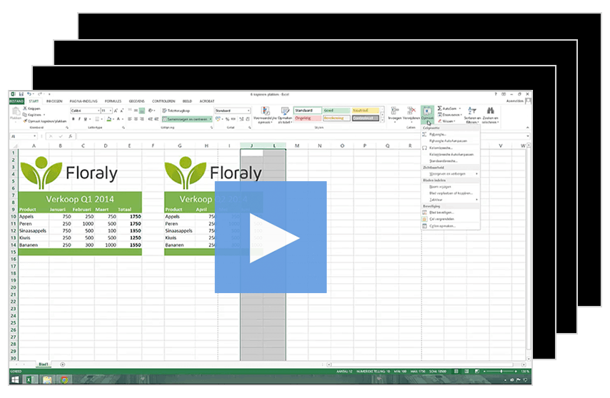 gratis-cursus-voorbeeld-excel