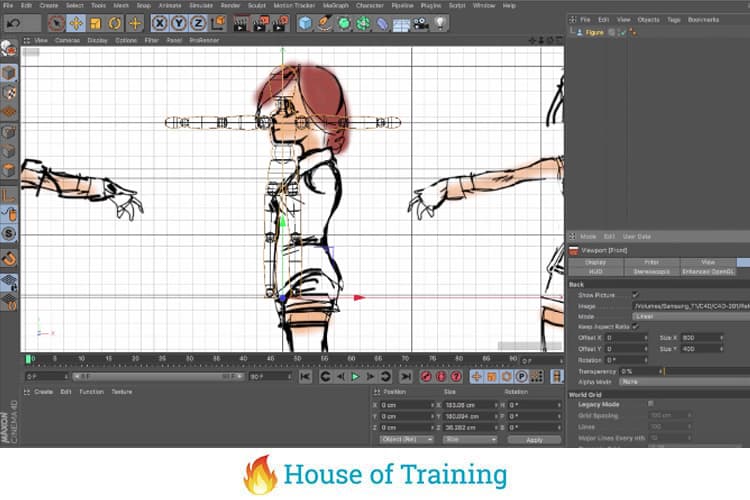 Leer een 3D anime karakter modelleren in Cinema 4D