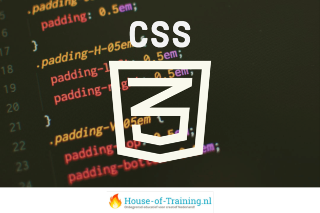 Leer over webdesign met CSS in deze basiscursus