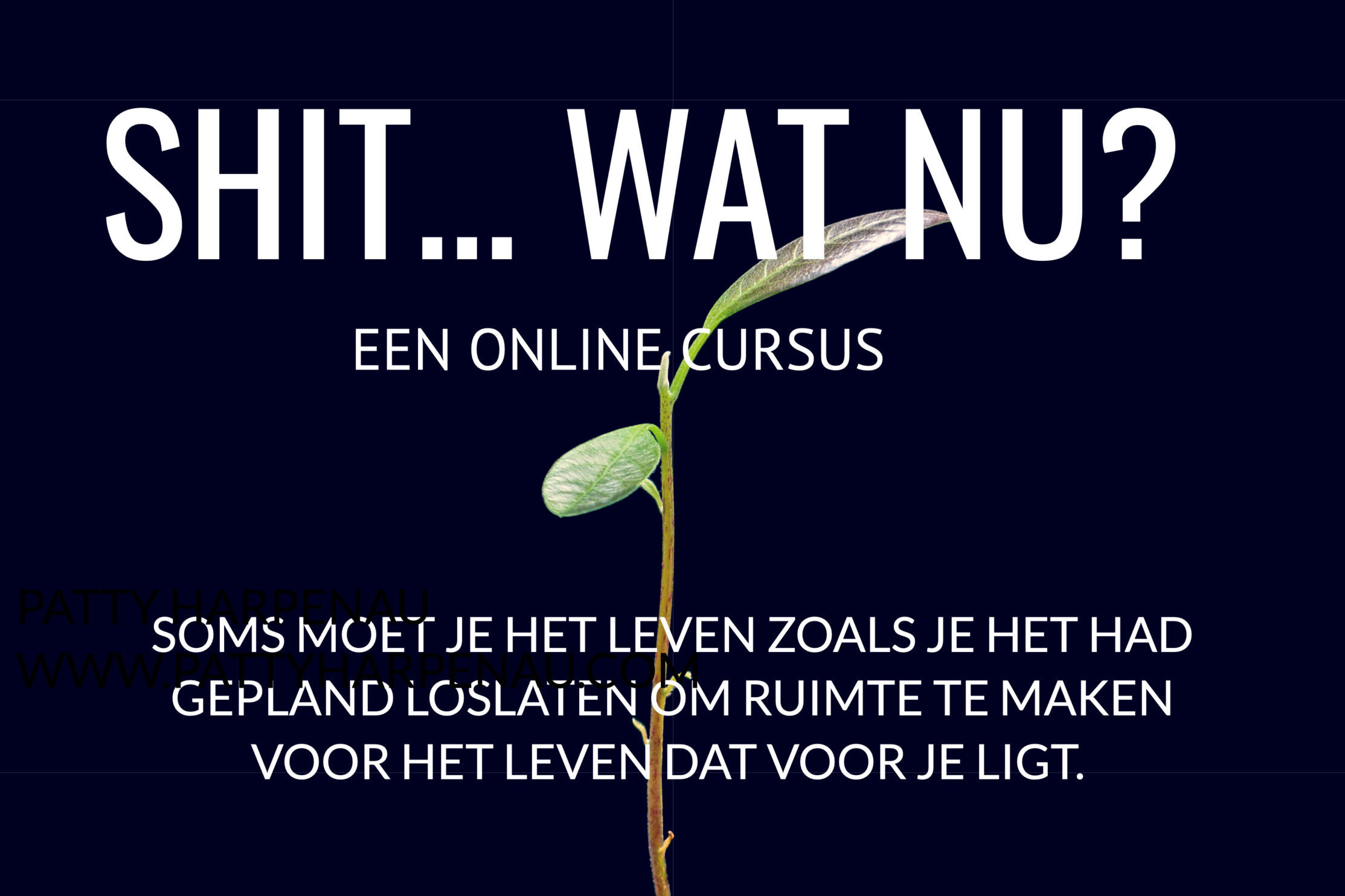 logo cursus