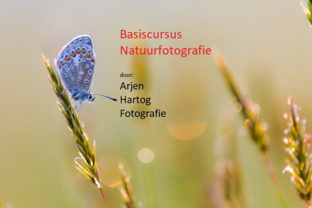 Online basiscursus natuurfotografie