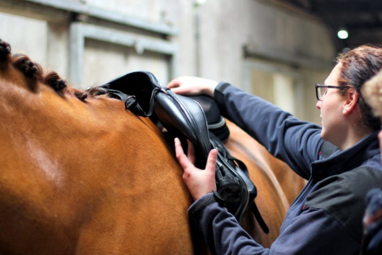 toespraak Trekker Renaissance Past mijn zadel wel bij mijn paard? | Leer het online op Soofos .nl