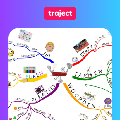 Professioneel mindmappen traject