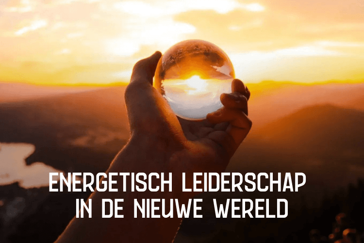 Online cursus energetisch leiderschap in de nieuwe wereld op Soofos